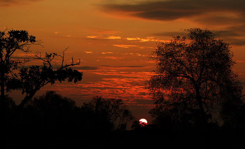 * Sunset_Ascanio_Pantanal_Brazil_DZ3A6613