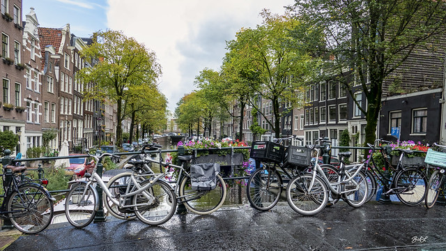 in Explore: Amsterdam