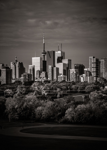 Toronto Skyline From Riverdale Park No 6