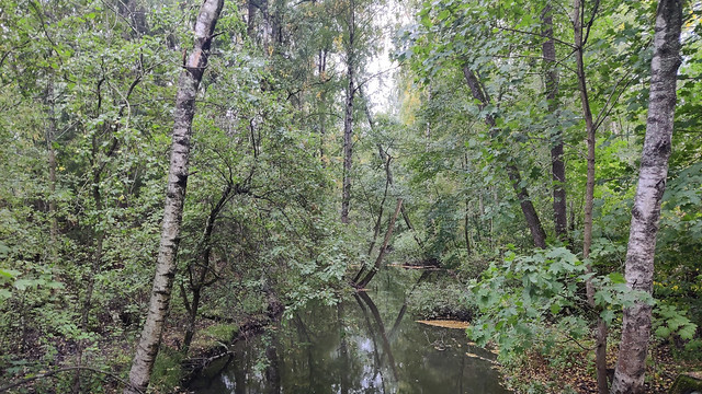 River Mätäjoki (Helsinki, Pitäjänmäki, 20220914)