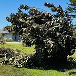 Damage in Florida following Hurricane Ian 