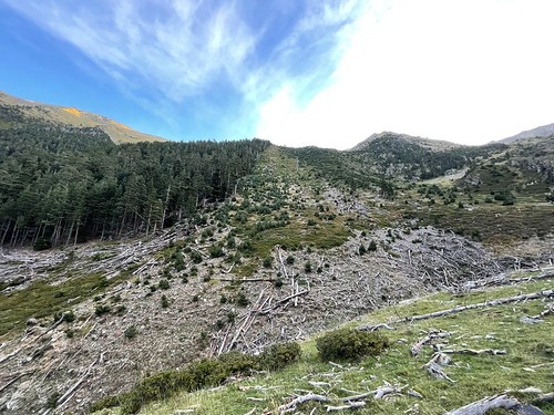 IMG-20221002-WA0100