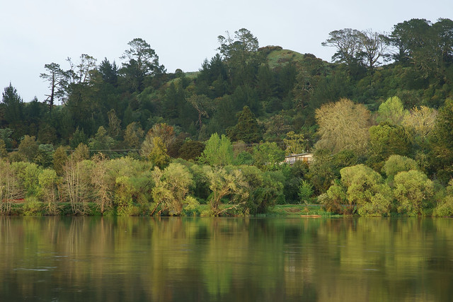 View over the Waikato River