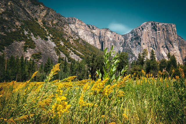 Yosemite Valley IV