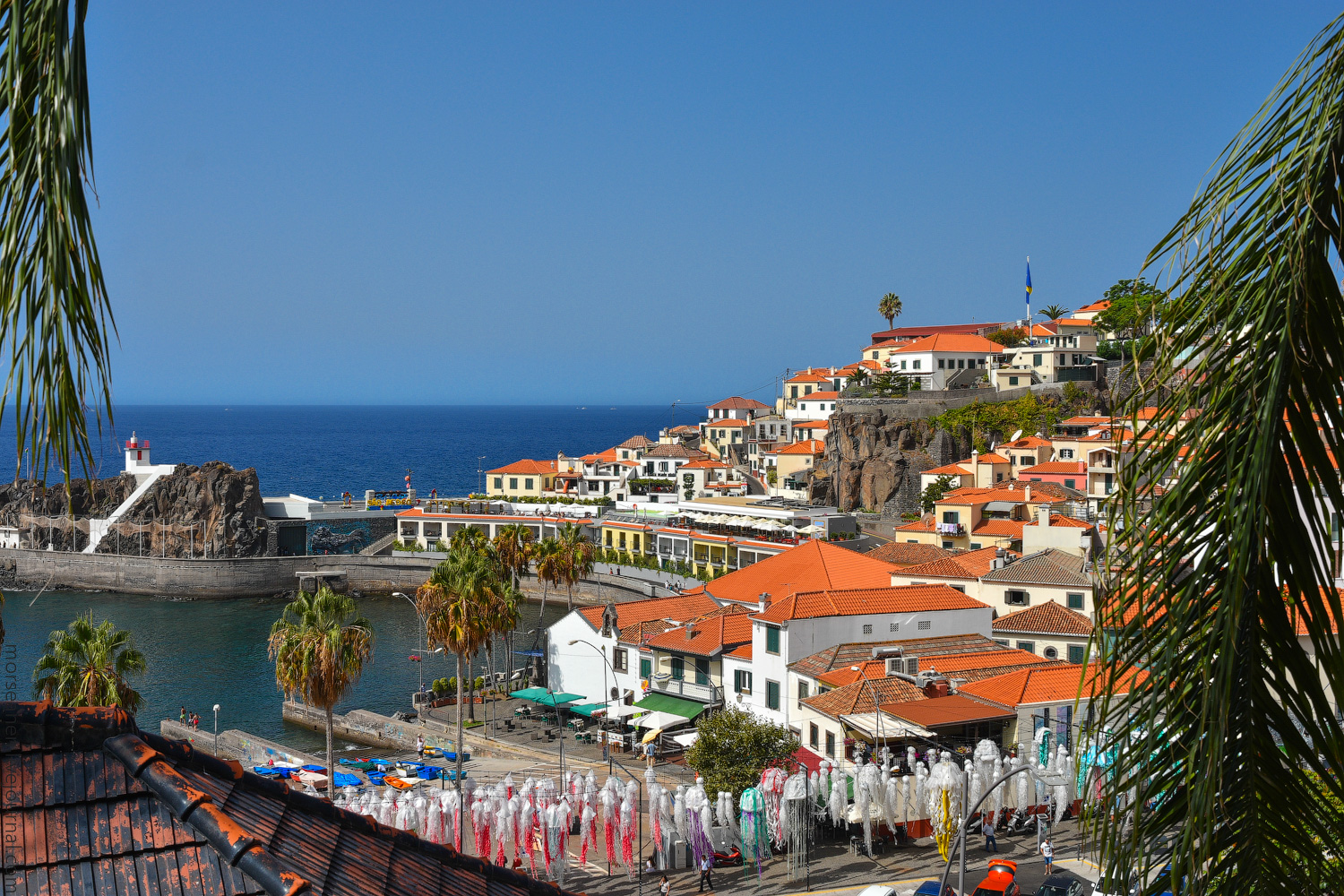 Madeira-South-(32)