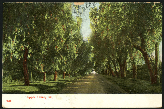 Paul C. Koeber Co. 6669. - Pepper Drive, Cal. front