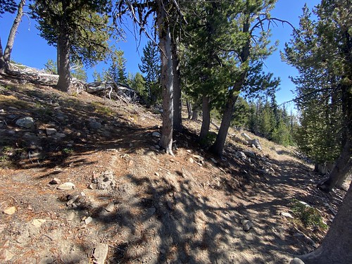 Intersection with the old Stormy Mountain Trail