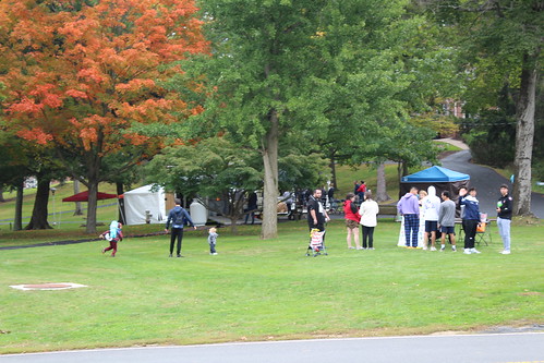 Activities on the Green