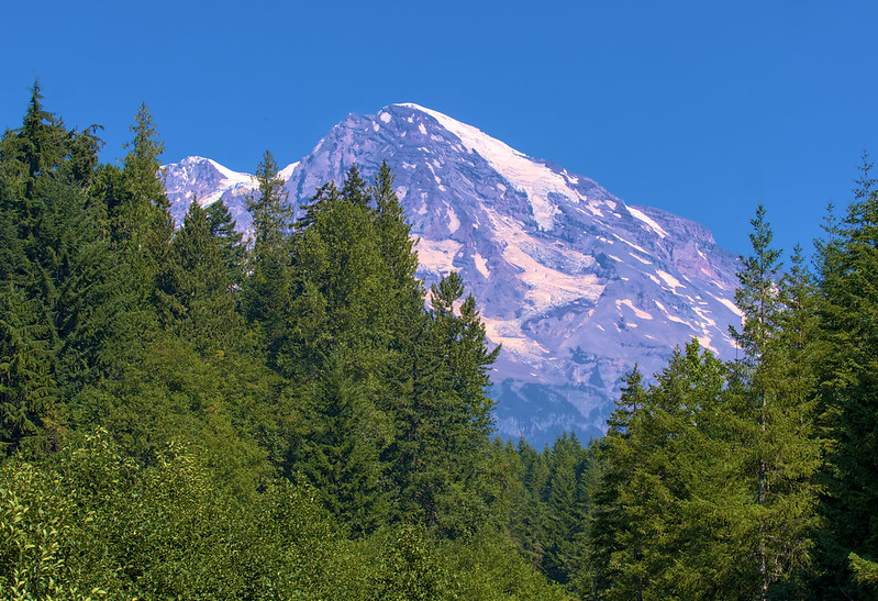 Mount Rainier from Kautz Creek Trailhead