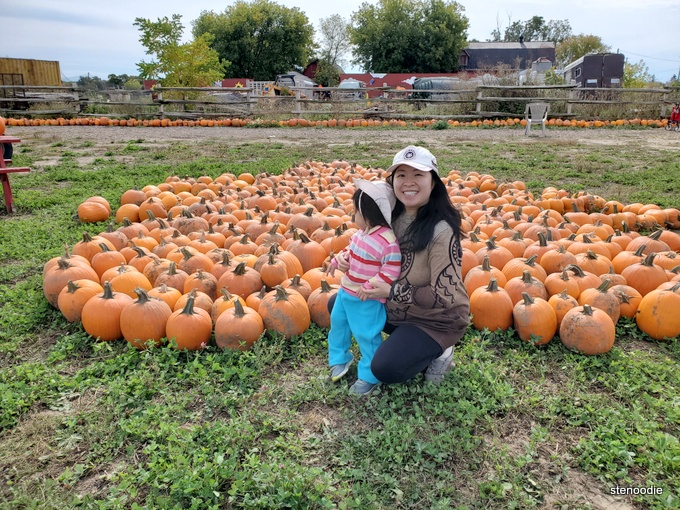  Carma Farms pumpkins