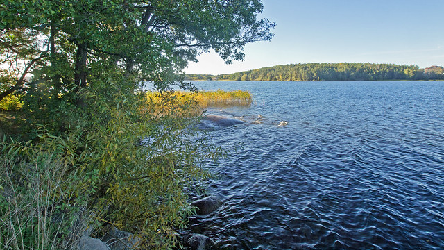Autumn in Grimsta Woods Nature Reserve in Stockholm. Lake Mälaren.