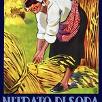 Sat, 2022-10-01 00:00 - METLICOVITZ, Leopoldo. Nitrato di Soda del Chile, c. 1910s