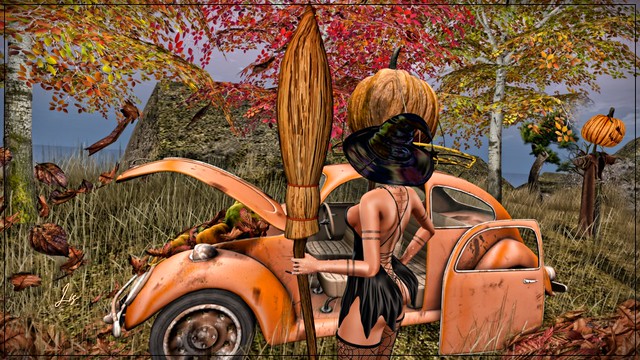 You love my Beetle, don't you? I know, but a witch flies better on her broom!
