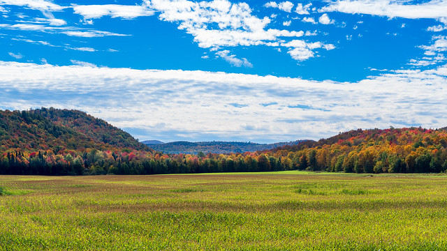 Irasburg Vermont Fall Cornfield