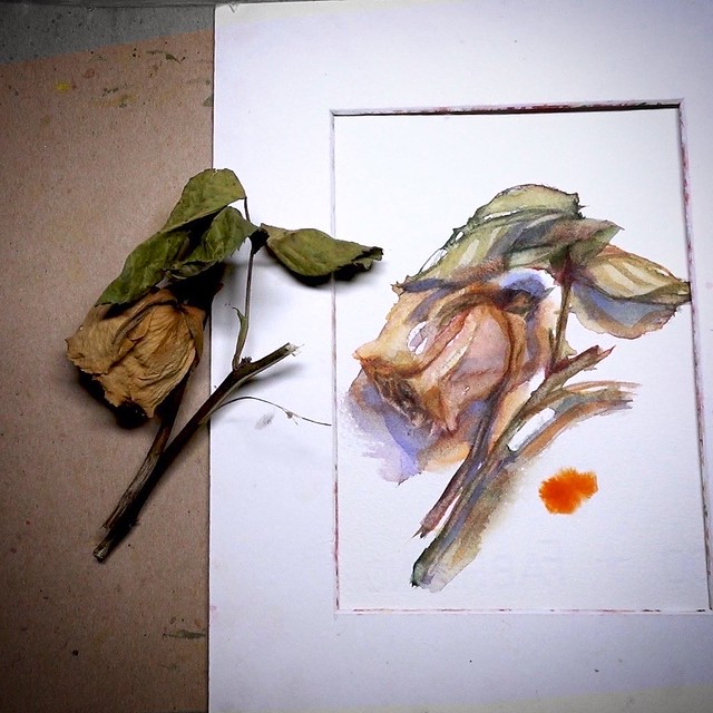 Day 2614. The process of daily rose painting for today.