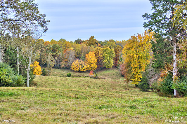 278/R365 - Colors of Autumn - Putnam County, Tennessee