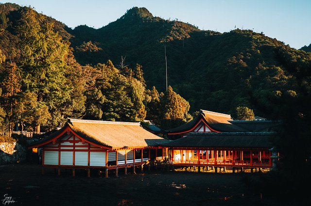 A temple in Miyajima
