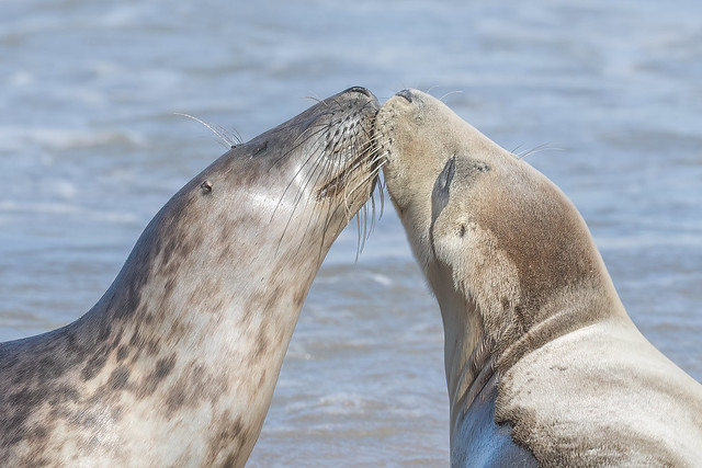 You are never too old for a kiss from your Mum !