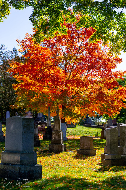 Beechwood Cemetery, Ottawa, Ontario, Canada