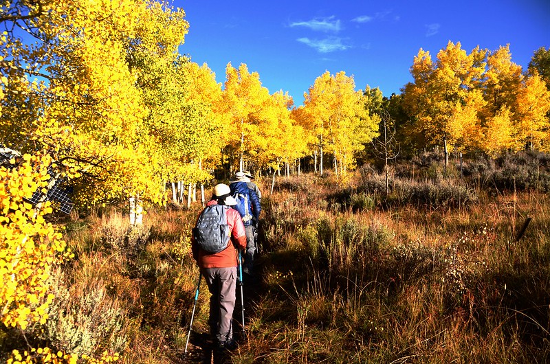 Fall foliage hike at Ptarmigan Peak Trail, Colorado (1)