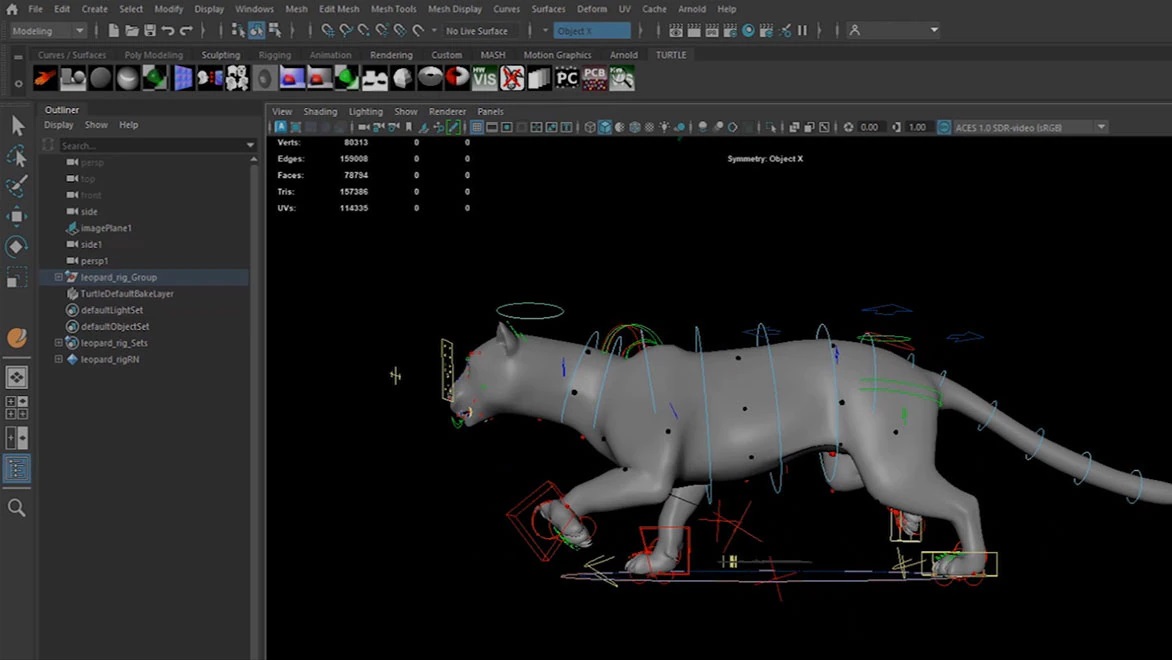 Working with Autodesk Maya Creative 2023 full
