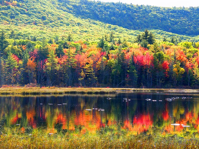Colorful Autumn Reflection