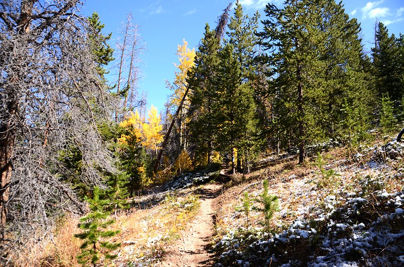 Ptarmigan Peak Trail, Colorado (2)