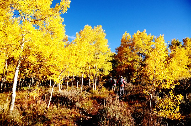 Fall foliage hike at Ptarmigan Peak Trail, Colorado (3)