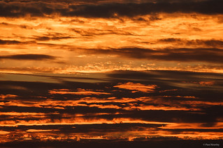 Fire In The Sky Abstract