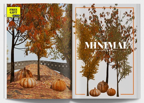 MINIMAL - October Group Gift