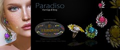 KUNGLERS - Paradiso set