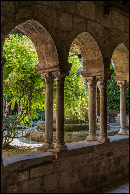 Provence romane: cloister and cathedral of Fréjus