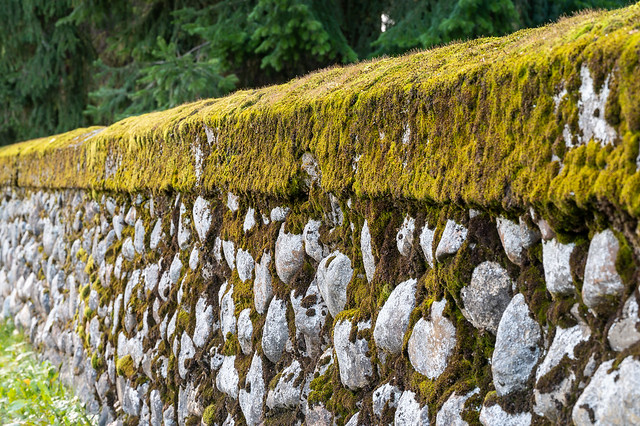 Old stone fence