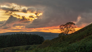 Powys Sunset