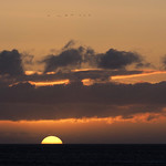 6. Oktoober 2022 - 7:24 - #279 2022 Day 279: Spittal beach, Northumberland, watching the sunrise 