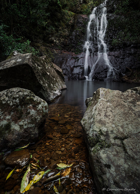 Araucaria falls