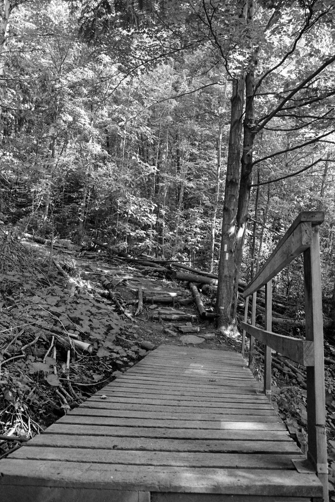Wooden Path on the Bruce Trail Sept 2022