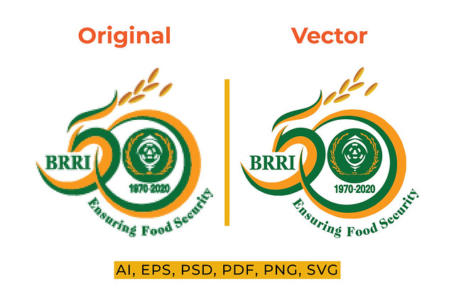 You will get vector tracing | logo redesign | vectorize image within 2 hours