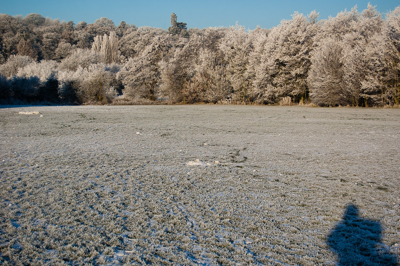 Tettenhall ridge from Barley Field