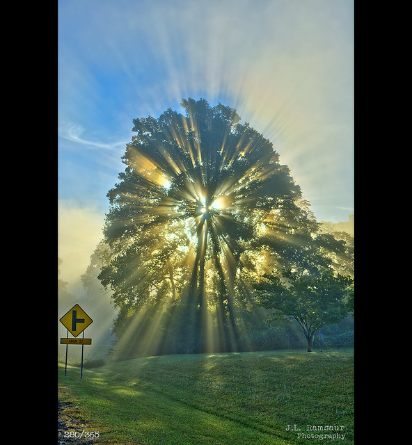 280/R365 - Beauty of the Sun - Cookeville, Tennessee
