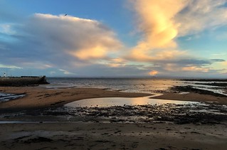 The Firth of Forth from Anstruther on the old iPhone