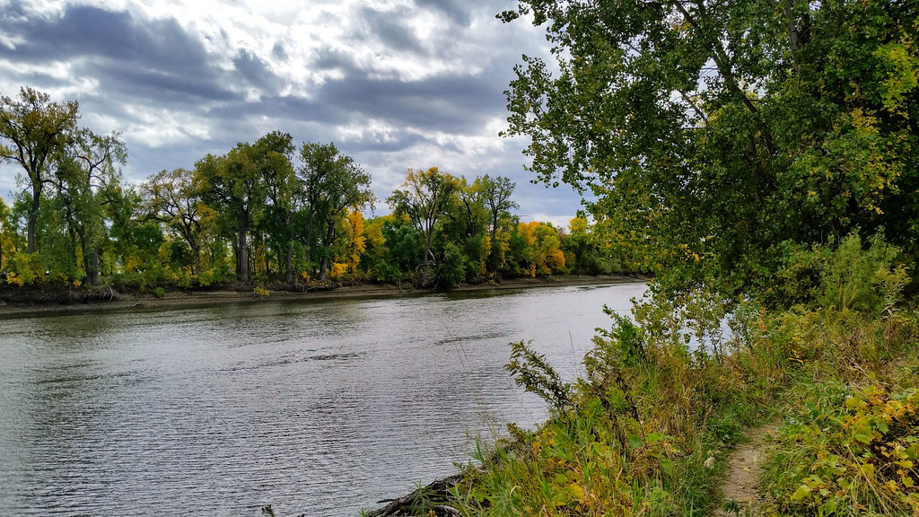 Long Meadow Lake Trail