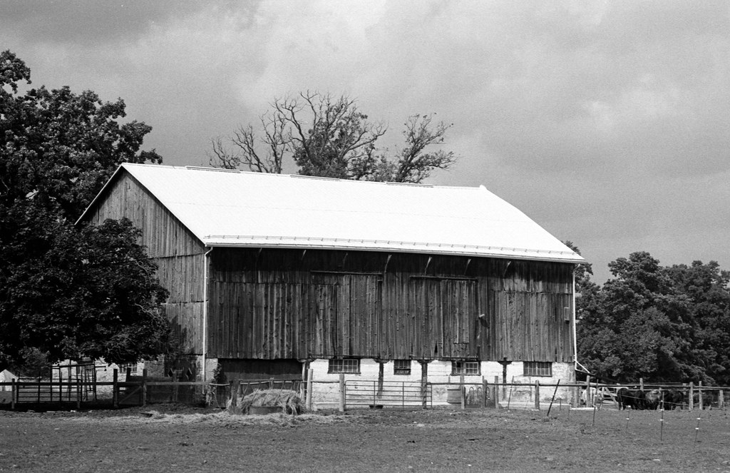 Barn on 8th Line and Silvercreek Road