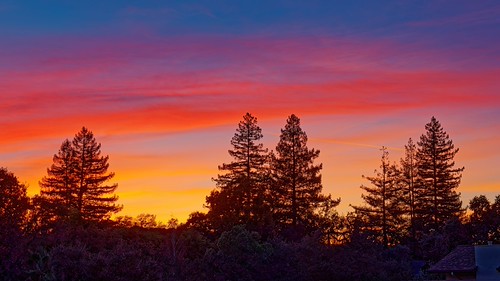Another Countrywood Sunset by greensteves, The neighbor's overgrown tree was cut down, affording this view from our second floor window.sunset 