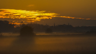 Mist On The Marsh