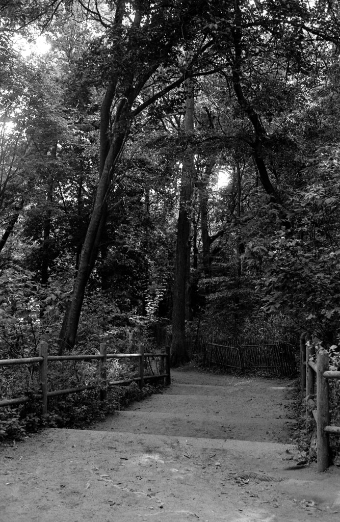 High Park Stairs Down