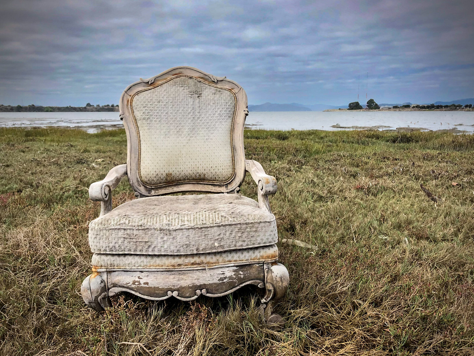 Empress chair in the wetlands