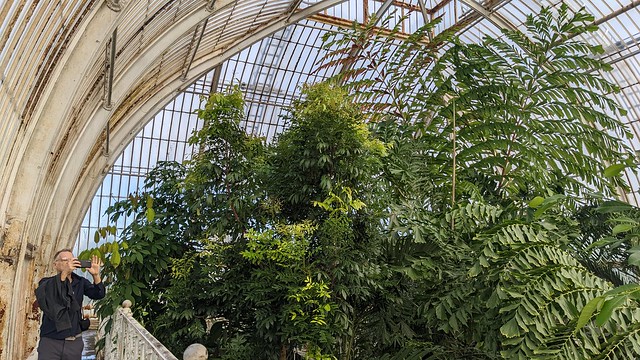 Palm House - Royal Botanic Gardens - Kew, London, England