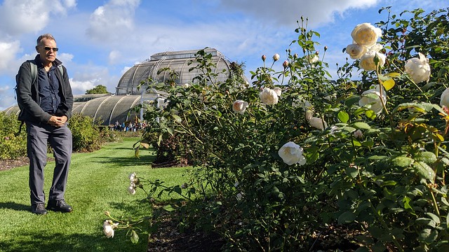 Rose Garden - Royal Botanic Gardens - Kew, London, England