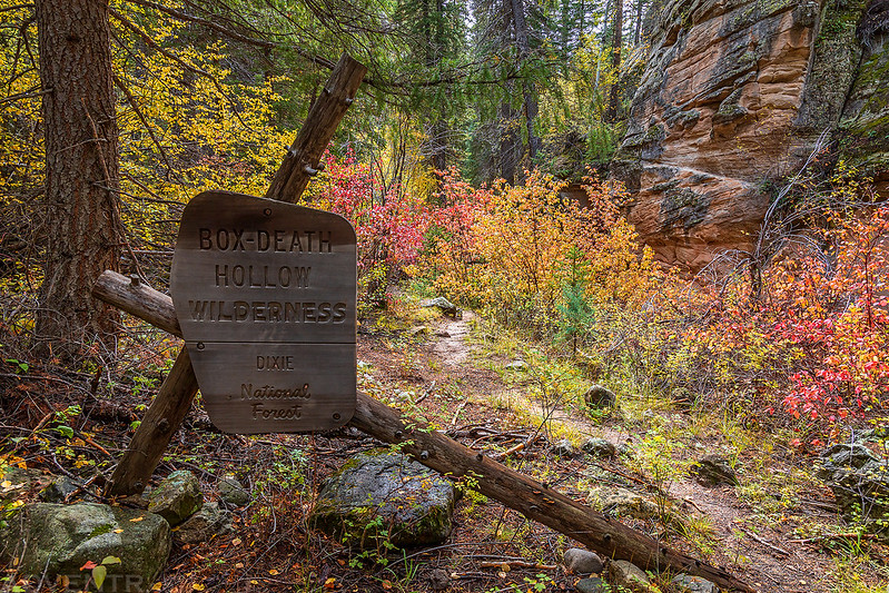 Box-Death Hollow Wilderness Sign
